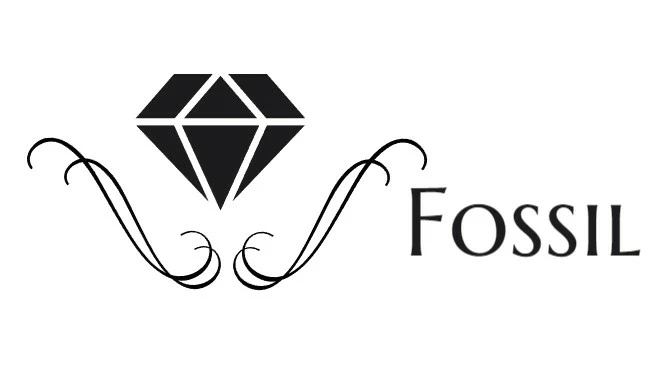 Cheap Fossil Store